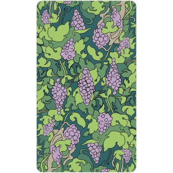 Florana Tarot kortos US Games Systems